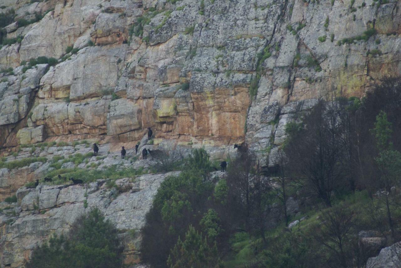 Monte Do Pego Villa Arneiro  Luaran gambar